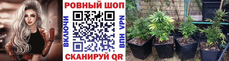 Купить закладку Ельня ТГК  Меф мяу мяу  Галлюциногенные грибы  АМФ  Марихуана  А ПВП  COCAIN 