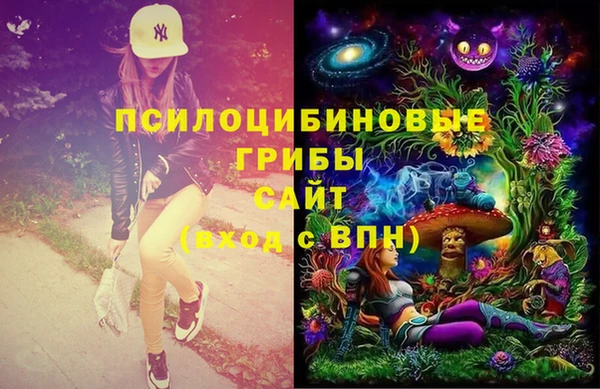 СК Алексин