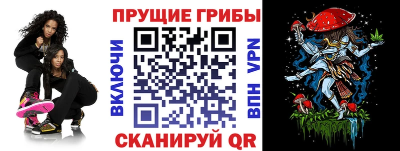 Псилоцибиновые грибы GOLDEN TEACHER  Ельня 